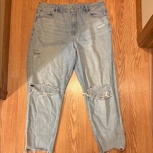 American Eagle Outfitters Light Blue Distressed Boyfriend Jeans